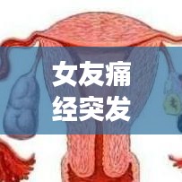 女友痛经突发如何应对？超实用指南助你轻松应对！