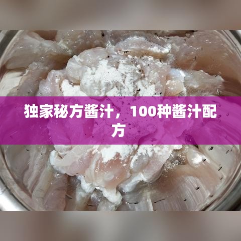 独家秘方酱汁,100种酱汁配方