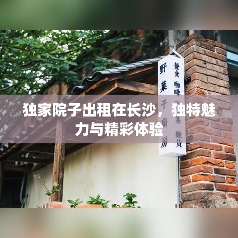 独家院子出租在长沙,独特魅力与精彩体验