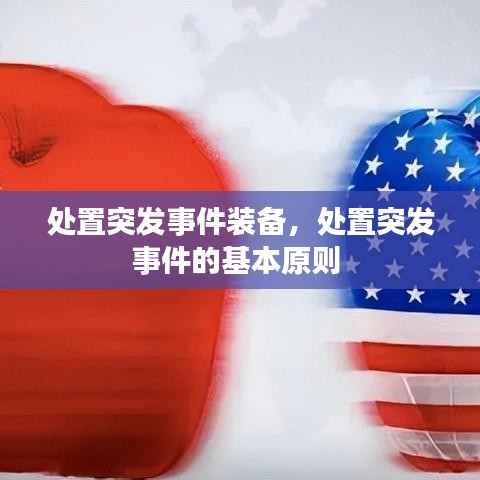 处置突发事件装备,处置突发事件的基本原则