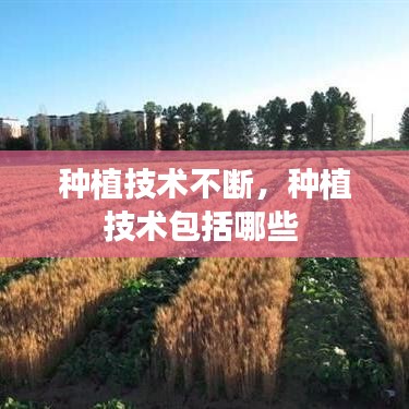 种植技术不断,种植技术包括哪些