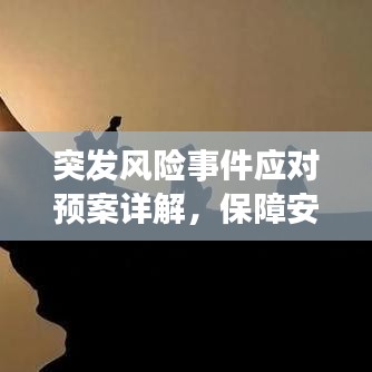 突发风险事件应对预案详解，保障安全，防患于未然
