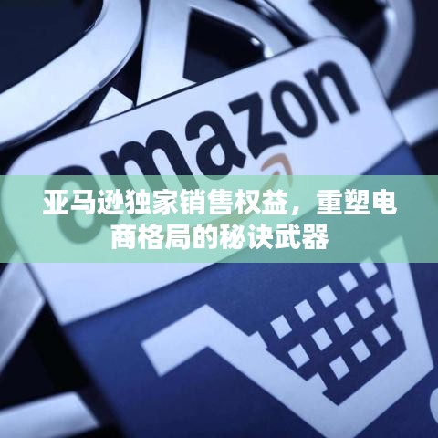 亚马逊独家销售权益,重塑电商格局的秘诀武器