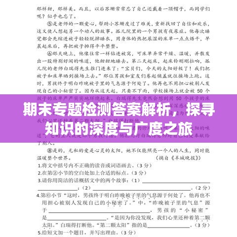 期末专题检测答案解析，探寻知识的深度与广度之旅