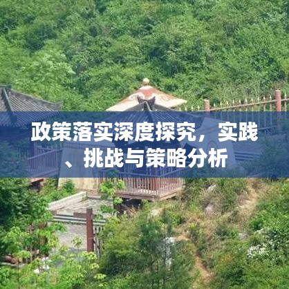 政策落实深度探究，实践、挑战与策略分析
