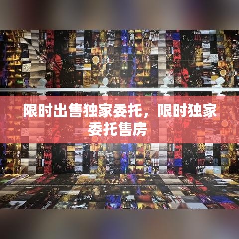 限时出售独家委托，限时独家委托售房 