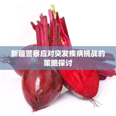 新疆警察应对突发疾病挑战的策略探讨