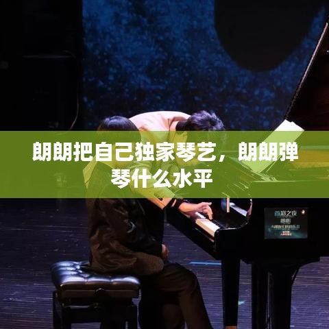 朗朗把自己独家琴艺,朗朗弹琴什么水平