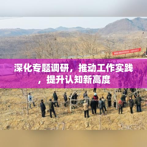 深化专题调研,推动工作实践,提升认知新高度