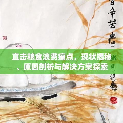 直击粮食浪费痛点,现状揭秘、原因剖析与解决方案探索