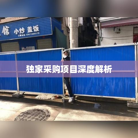 独家采购项目深度解析