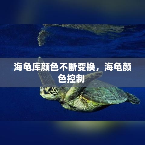 海龟库颜色不断变换，海龟颜色控制 