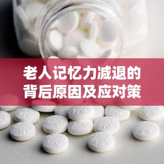 老人记忆力减退的背后原因及应对策略,全面解析,必看!
