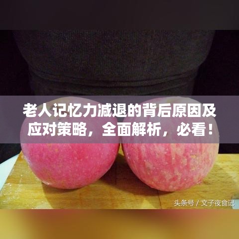 老人记忆力减退的背后原因及应对策略,全面解析,必看!