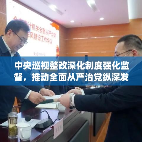 中央巡视整改深化制度强化监督,推动全面从严治党纵深发展