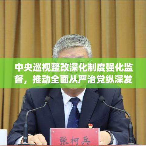 中央巡视整改深化制度强化监督，推动全面从严治党纵深发展
