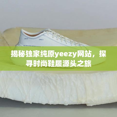 揭秘独家纯原yeezy网站,探寻时尚鞋履源头之旅