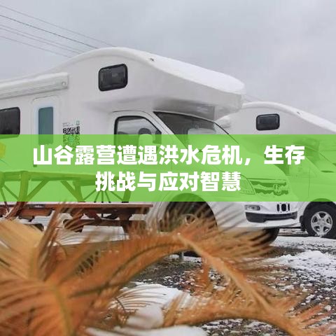 山谷露营遭遇洪水危机,生存挑战与应对智慧