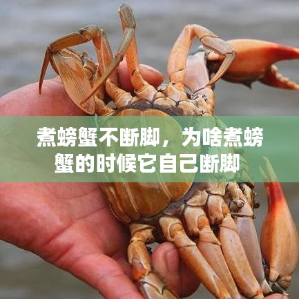 煮螃蟹不断脚，为啥煮螃蟹的时候它自己断脚 