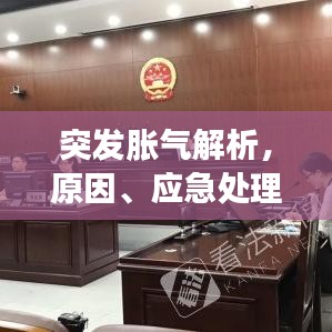 突发胀气解析,原因、应急处理与预防策略