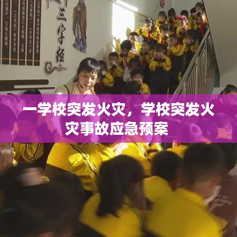 一学校突发火灾,学校突发火灾事故应急预案