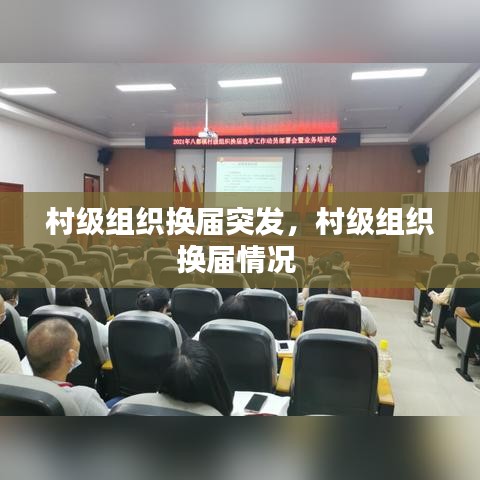 村级组织换届突发,村级组织换届情况