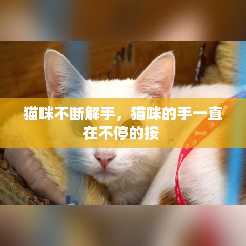 猫咪不断解手，猫咪的手一直在不停的按 