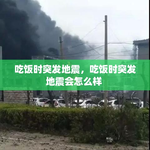 天罗地网 第5页