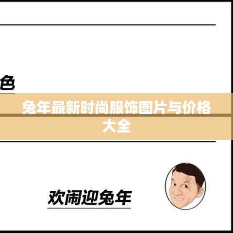 兔年最新时尚服饰图片与价格大全