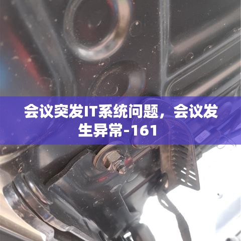 会议突发IT系统问题,会议发生异常-161