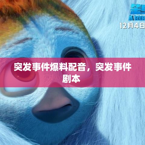 突发事件爆料配音,突发事件剧本