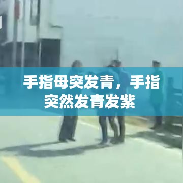 凤凰于飞 第6页