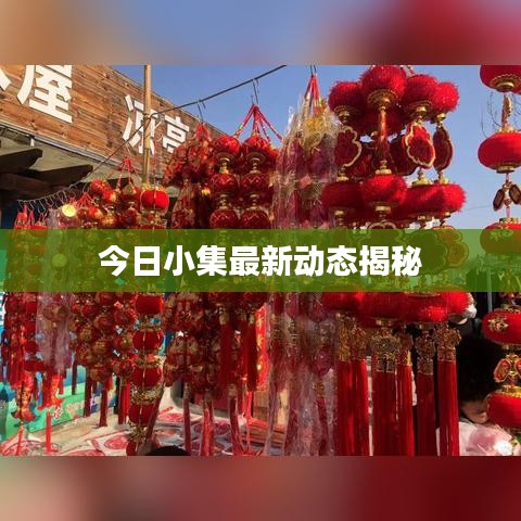 今日小集最新动态揭秘