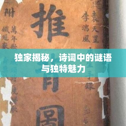 独家揭秘,诗词中的谜语与独特魅力