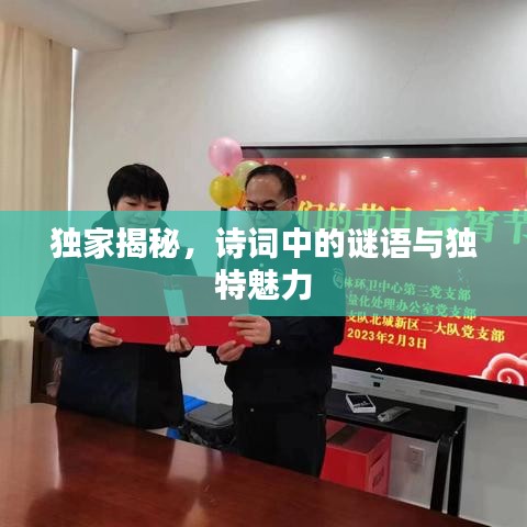 独家揭秘,诗词中的谜语与独特魅力