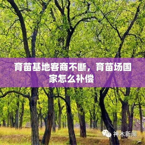 育苗基地客商不断,育苗场国家怎么补偿