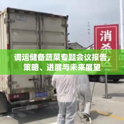 调运储备蔬菜专题会议报告，策略、进展与未来展望