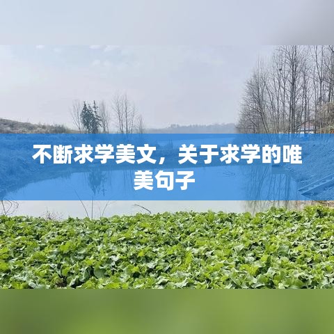 不断求学美文,关于求学的唯美句子