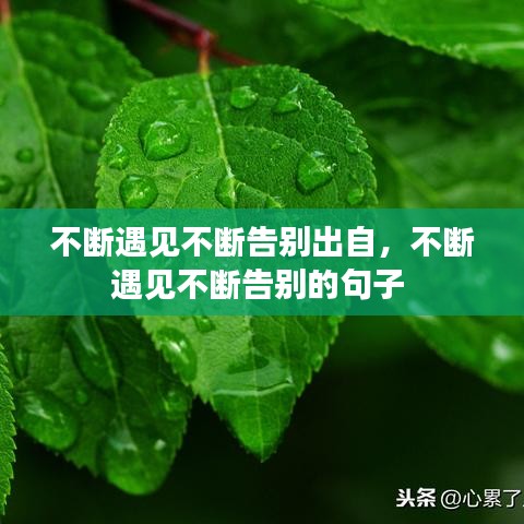 不断遇见不断告别出自，不断遇见不断告别的句子 