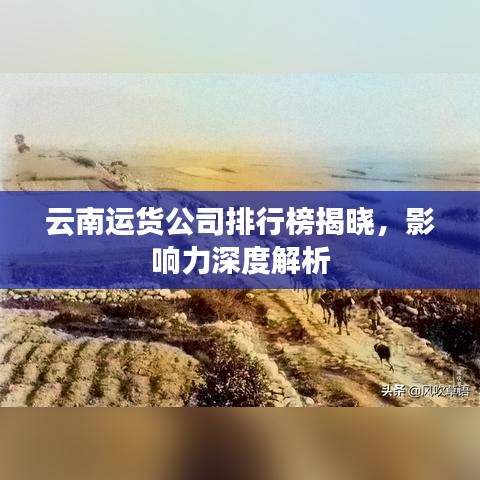 云南运货公司排行榜揭晓,影响力深度解析