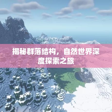揭秘群落结构,自然世界深度探索之旅