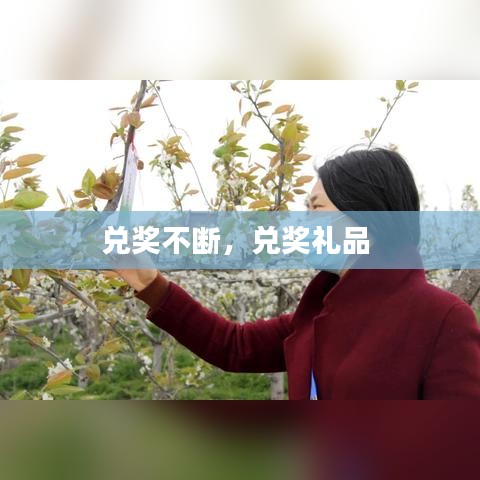 兑奖不断,兑奖礼品