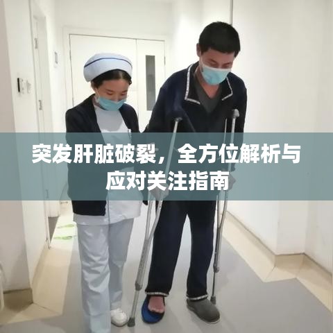 突发肝脏破裂,全方位解析与应对关注指南