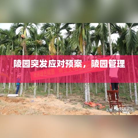 陵园突发应对预案,陵园管理