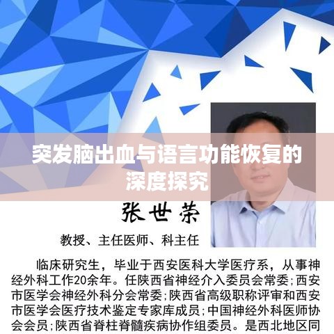 突发脑出血与语言功能恢复的深度探究
