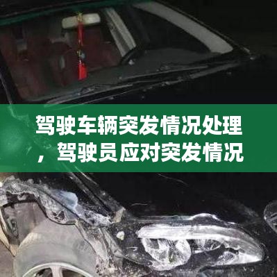 驾驶车辆突发情况处理，驾驶员应对突发情况 