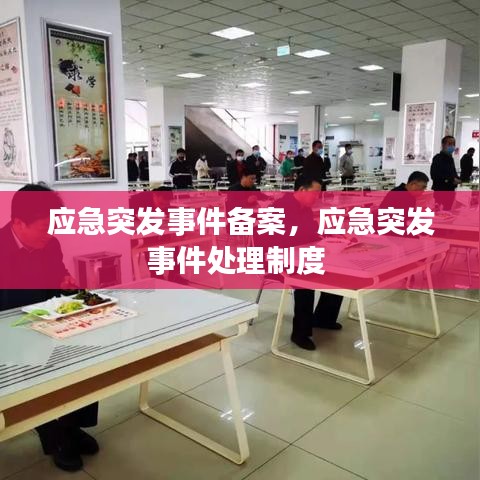应急突发事件备案,应急突发事件处理制度