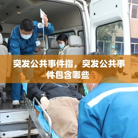 突发公共事件指,突发公共事件包含哪些