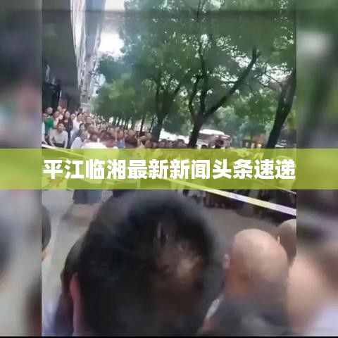 平江临湘最新新闻头条速递