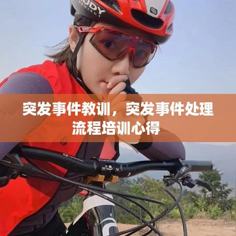 突发事件教训,突发事件处理流程培训心得